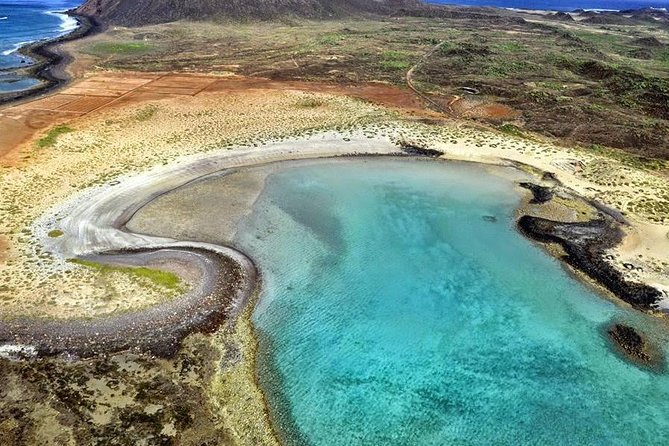 Lobos Island - The dolphin route - Price value: is $86.50 worth it?