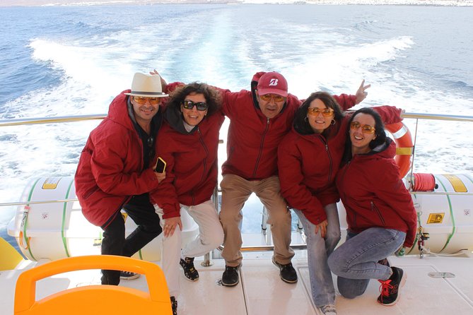 Lobos Island - The dolphin route - The dolphin route: your best odds, and how to think about “not guaranteed”
