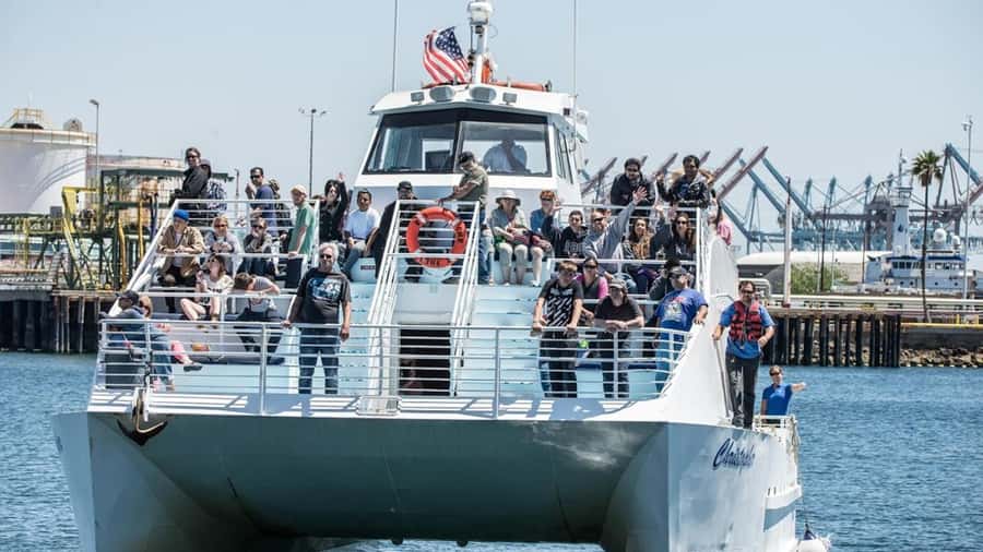 Long Beach: Whale and Dolphin Watching Cruise - The narration: why the facts make your eyes work better