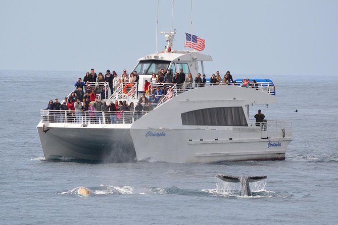 Los Angeles Whale and Dolphin Watching Cruise from West Harbor - Where the cruise really starts: San Pedro’s working harbor