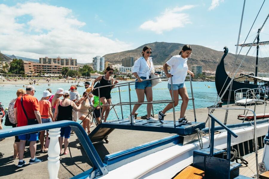 Los Cristianos Respectful No-Chase Whale and Dolphin Safari - Key highlights worth caring about