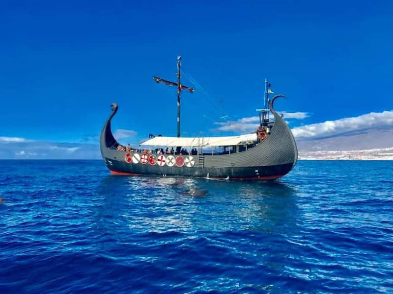 Los Cristianos: Viking Cruise Whales & Dolphins Watching - The 2-hour itinerary: what to expect after the safety briefing
