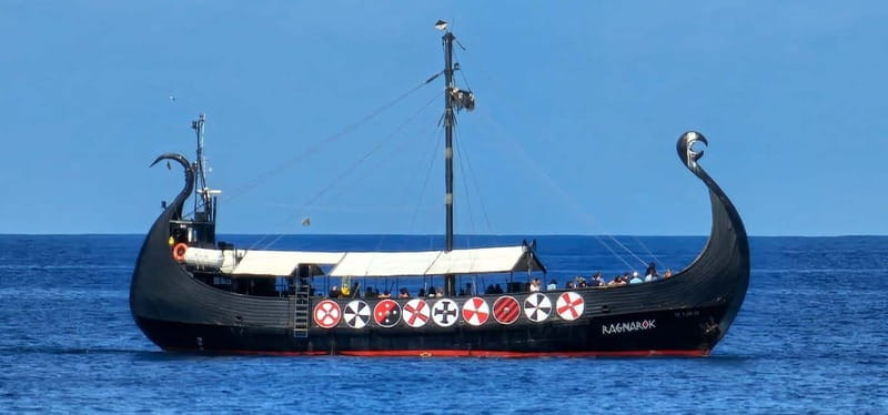 Los Cristianos: Viking Cruise Whales & Dolphins Watching - Comfort at sea: seasickness, toilets, and wheelchair access