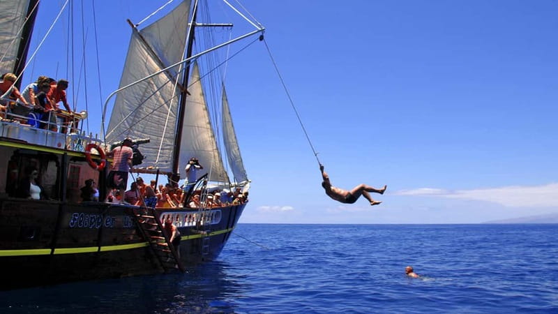 Los Gigantes: Dolphin and Whale Watching Tour with Drinks - The Swim Stop in Clear Water (With Real Getting-Wet Options)