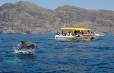 Los Gigantes: Dolphin & Whale Watching Cruise with Swim Stop - Setting out from Los Gigantes Port (Masca Express): the flow of the ride