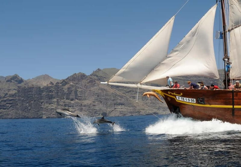 Los Gigantes: Dolphin & Whale Watching Tour on a Pirate Boat - Key reasons to pick Flipper Uno from Los Gigantes