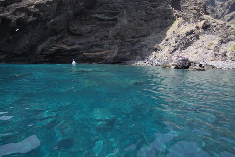 Los Gigantes: Whale or dolphin watching and swimming tour in Masca - Price and value: why $28 can feel like a bargain