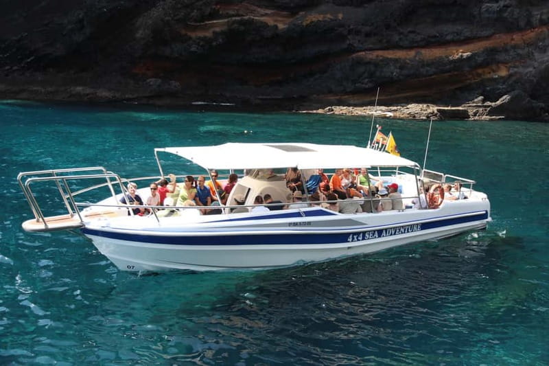 Los Gigantes: Whale or Dolphin Watching Tour and Swim in Masca - Getting started: where you meet and how the first hour moves