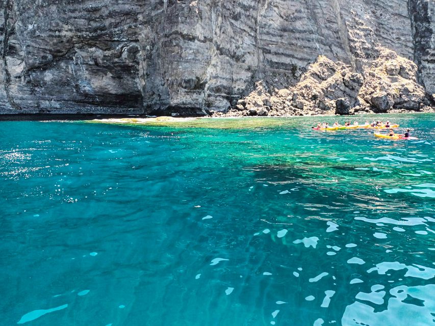 Los Gigantes: Whales and Dolphin Watching Cruise with Lunch - Who should book this cruise (and who should skip it)