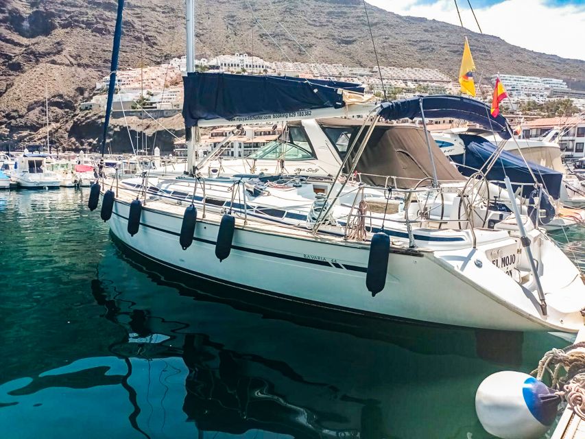 Los Gigantes: Whales and Dolphin Watching Cruise with Lunch - Views you get along the way: cliffs, coastlines, and the sunset option
