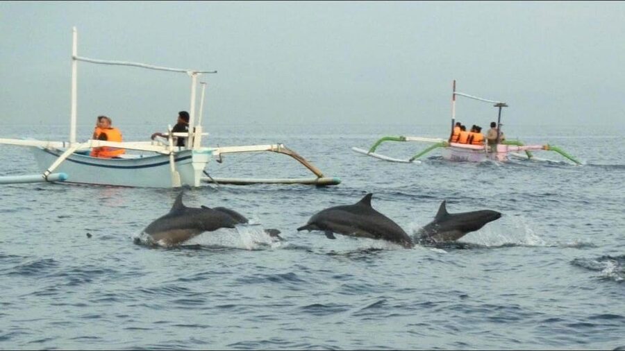 lovina bali: Dolphin watching, waterfall and local lunch - Guide Support: Why It Feels Easier When Someone Handles The Flow
