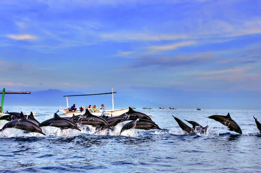 lovina bali: Dolphin watching, waterfall and local lunch - Boat Ride Reality: Safety, Timing, and What You Can Control