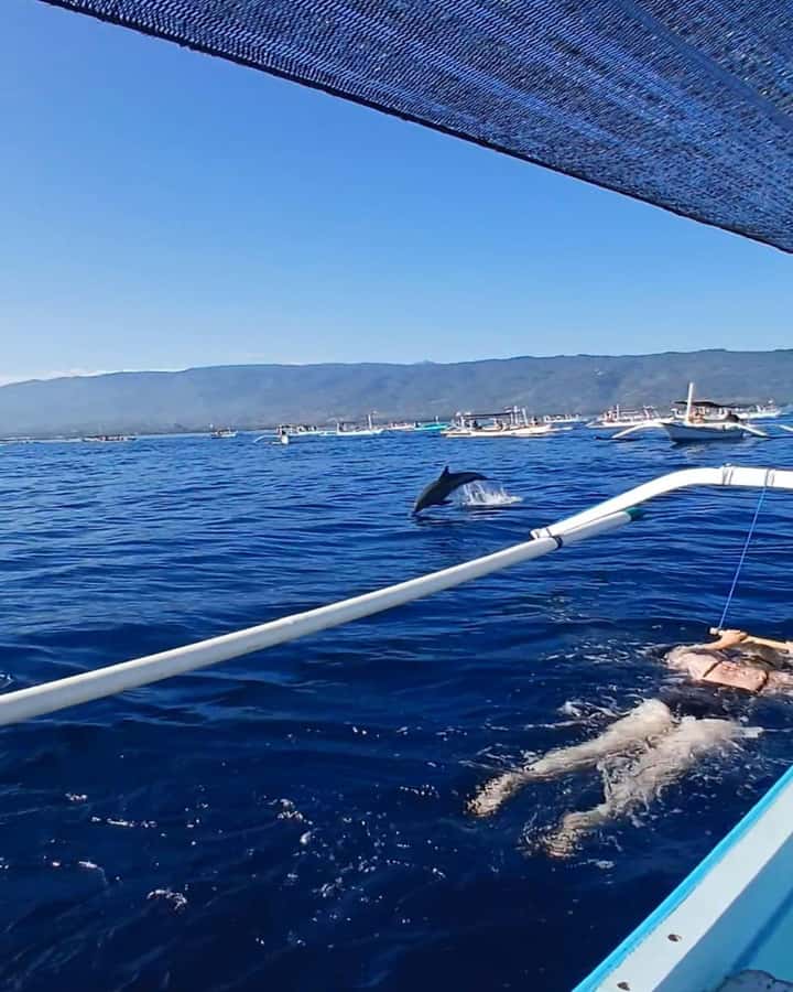 Lovina/BALI : SPECIAL Dolphin Watching,Swimming,Snorkeling - Lovina dolphin watching: what makes it worth your time