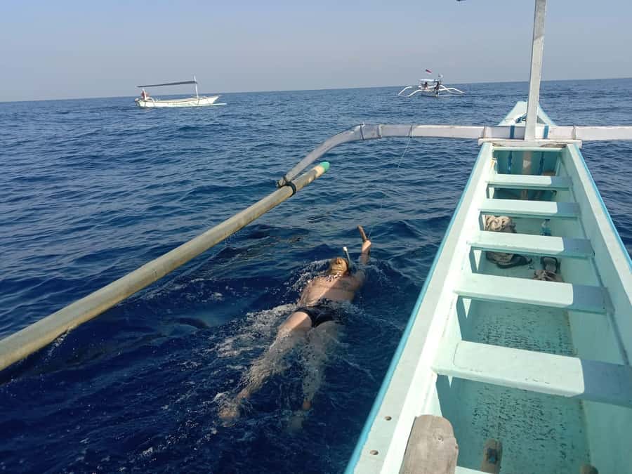 Lovina/BALI : SPECIAL Dolphin Watching,Swimming,Snorkeling - Getting good dolphin views off Lovina Beach