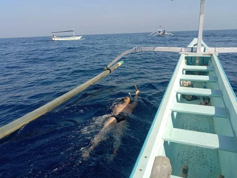 Lovina/BALI : SPECIAL Dolphin Watching,Swimming,Snorkeling - Price and value: is $24 fair for dolphins plus snorkeling?