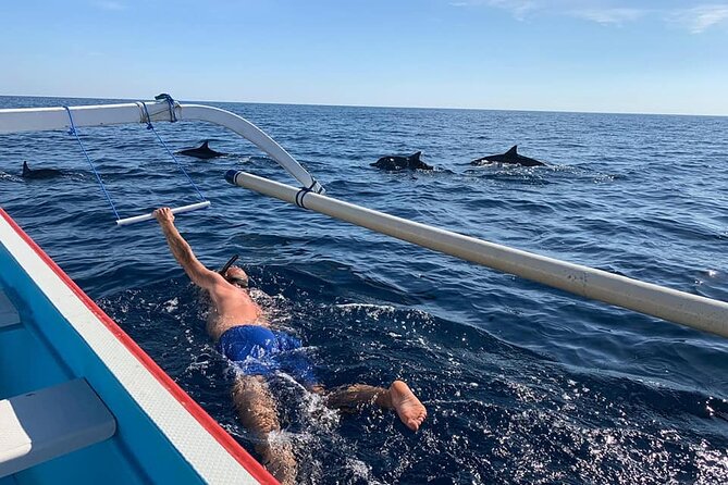 Lovina Dolphin Watching, Swimming, and Snorkeling Experience - Key Things You’ll Notice on This Lovina Dolphin Tour