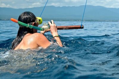 Lovina Dolphin Watching, Swimming, and Snorkeling Experience - The Drive From Ubud and Other Areas to Lovina Beach
