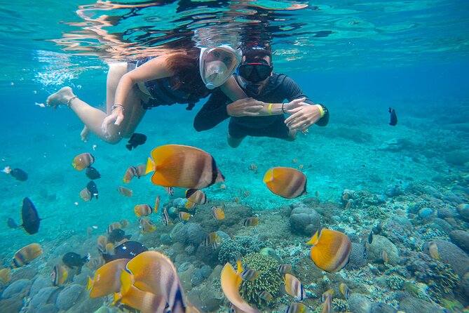 Lovina Dolphin Watching, Swimming, and Snorkeling Experience - Breakfast, Welcome Drinks, and What’s Included Versus Paid Separately