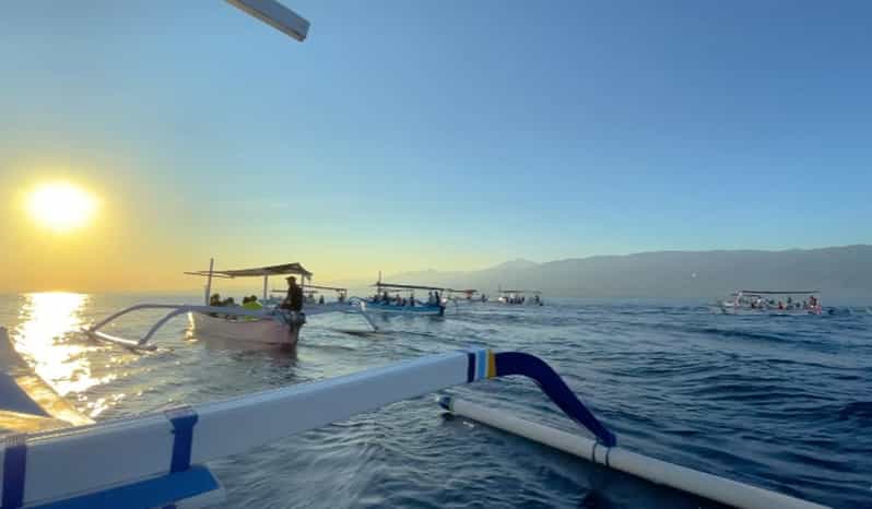 Lovina Dolphin Watching + Swimming with dolphin Private tour - Key highlights at a glance