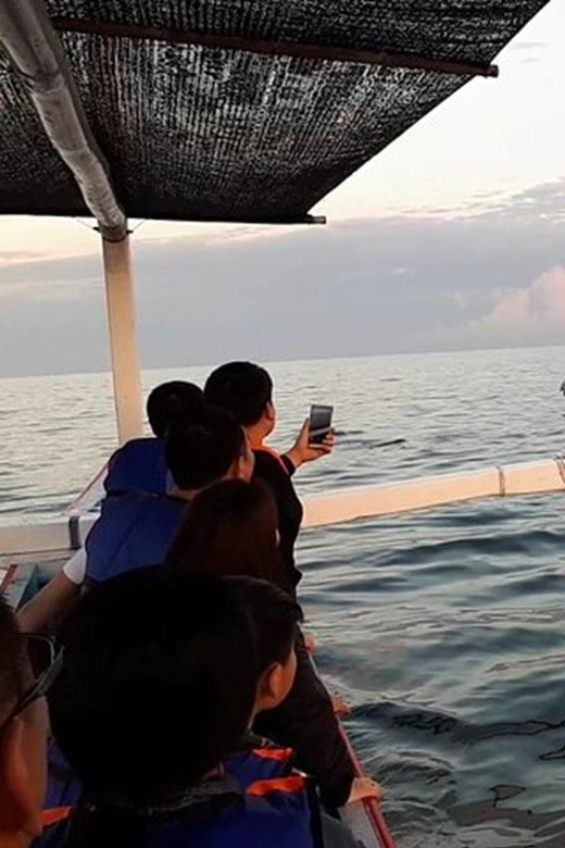 Lovina Dolphin Watching + Swimming with dolphin Private tour - The Lovina sunrise setup that makes this tour feel special
