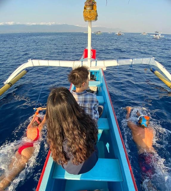 Lovina Dolphin Watching + Swimming with dolphin Private tour - What getting close to dolphins looks like (from the boat)