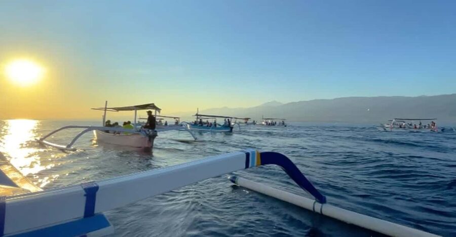 Lovina Dolphin Watching + Swimming with dolphin Private tour - Private group pacing and the English-led experience