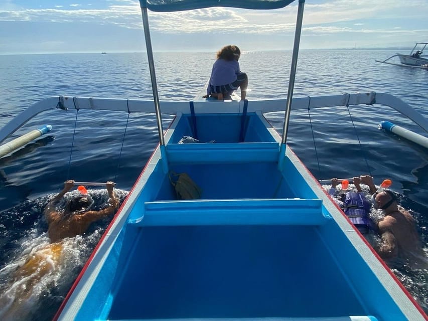 Lovina Dolphin Watching + Swimming with dolphin Private tour - Who this tour suits best (and who should think twice)