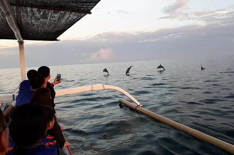 Lovina Dolphin Watching + Swimming with dolphin Private tour - Safety and comfort: what the boat experience actually means for you