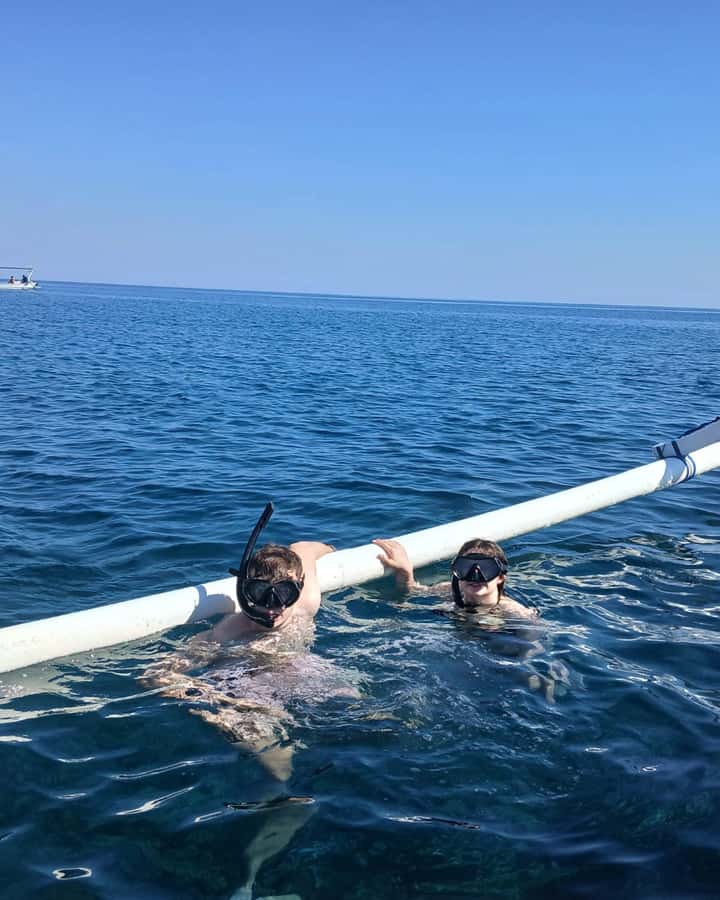 Lovina : SPECIAL FULL TRIP dolphin watch, swim, and snorkel - Dolphin watching: getting the best views without turning it into a chase