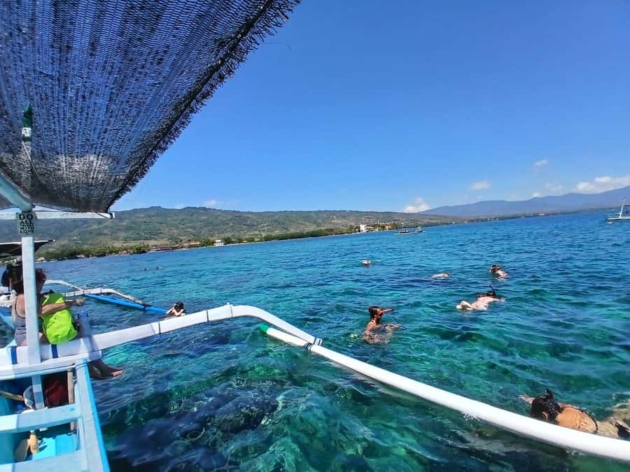 Lovina : SPECIAL FULL TRIP dolphin watch, swim, and snorkel - Pickup and drop-off: where you’re starting from matters