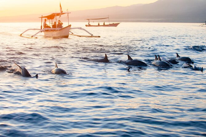 Lovina Sunrise Dolphin & Waterfall Tour - Lovina Beach at sunrise: what to expect on the water