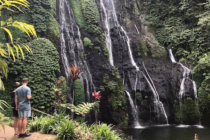 Lovina Sunrise Dolphin & Waterfall Tour - Pickup from Ubud: the real convenience factor