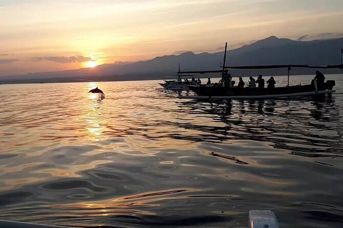 Lovina Sunrise Dolphin with option snorkeling and waterfall - Ubud waterfall trio: three stops, three very different photo styles