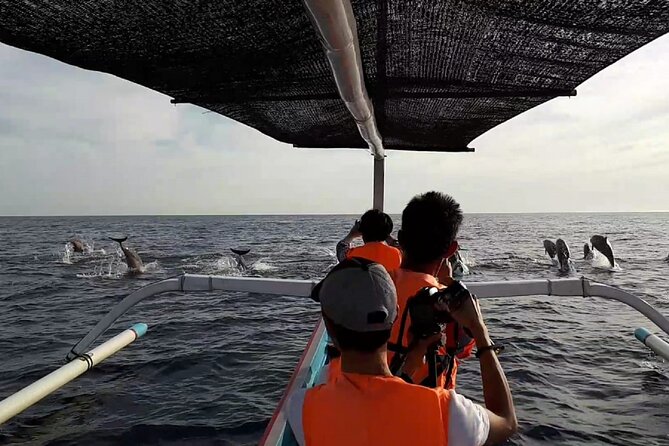 Lovina Sunrise Dolphin with option snorkeling and waterfall - Coffee plantation stop: a useful break, not just a detour