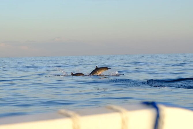 Lovina Sunrise Dolphin with option snorkeling and waterfall - Lovina sunrise dolphins: timing matters more than luck