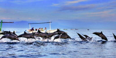 Lovina: Watching Dolphin, Swimming Dolphin Bali Tour - What you get for about $17: Value, inclusions, and the trade-off