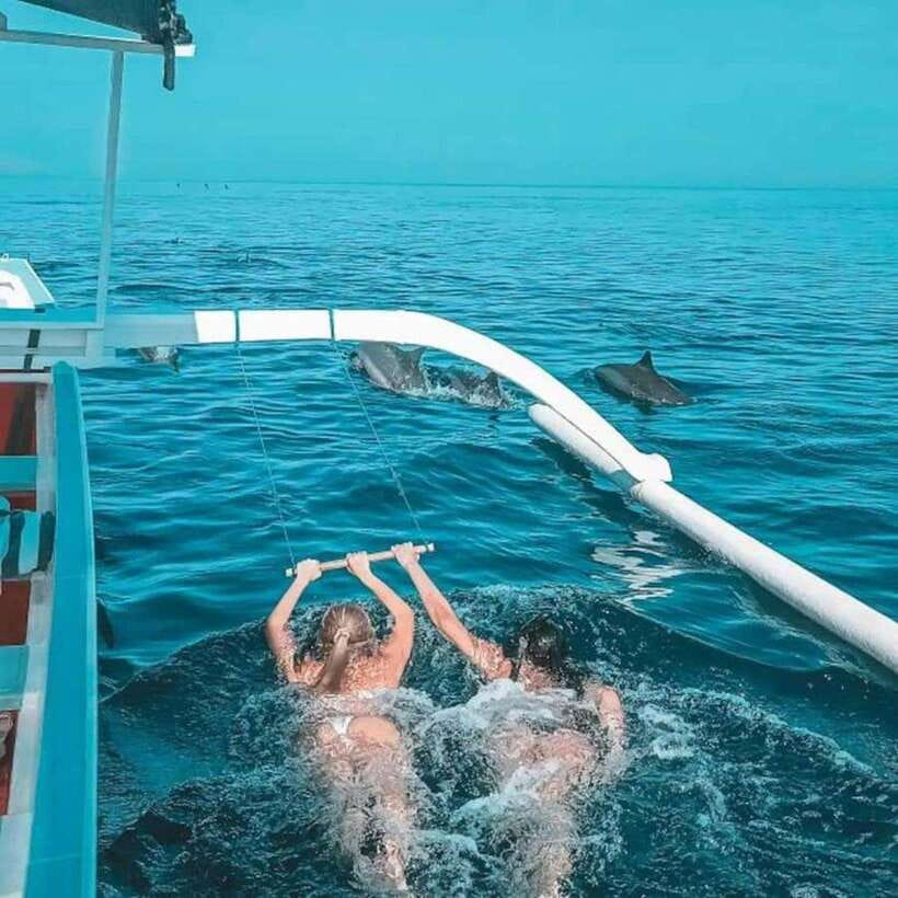 Lovina: Watching Dolphin, Swimming Dolphin Bali Tour - Who this tour fits best (and who might want to rethink it)