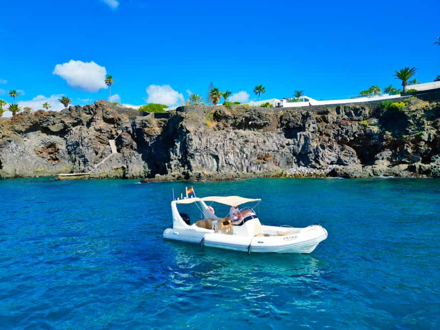 Luxury EcoMarine Safari – Whale & Dolphin Watching Adventure - Eco-friendly viewing: what restraint looks like on the water