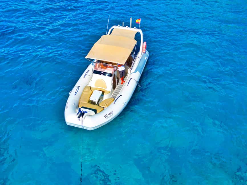 Luxury EcoMarine Safari – Whale & Dolphin Watching Adventure - Comfort checklist: what’s included, what’s not, and what to wear