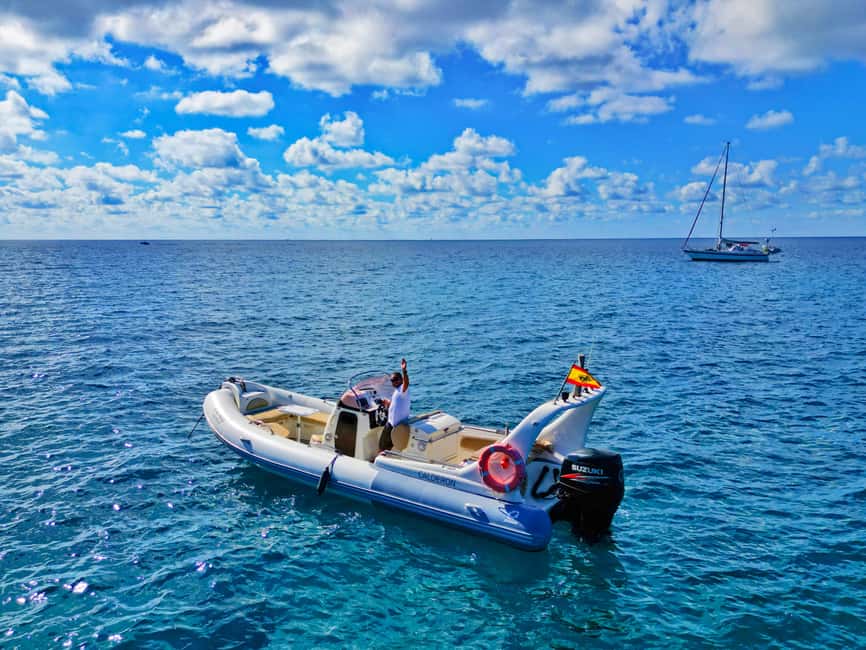 Luxury EcoMarine Safari – Whale & Dolphin Watching Adventure - Price and value: is $112 for 2 hours fair?