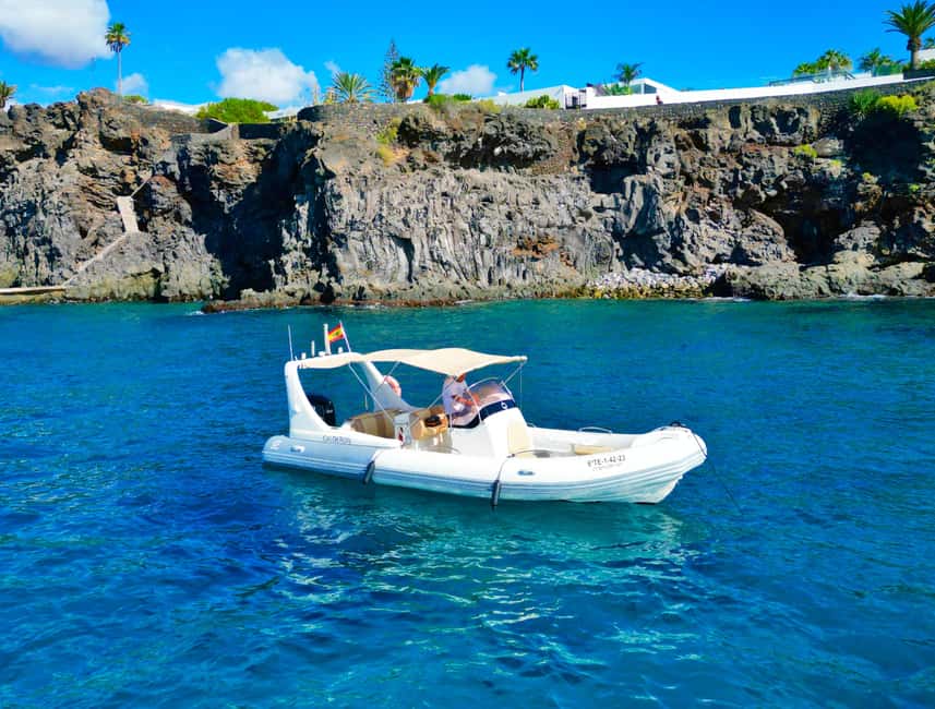 Luxury EcoMarine Safari – Whale & Dolphin Watching Adventure - Who should book this Tenerife zodiac whale and dolphin safari