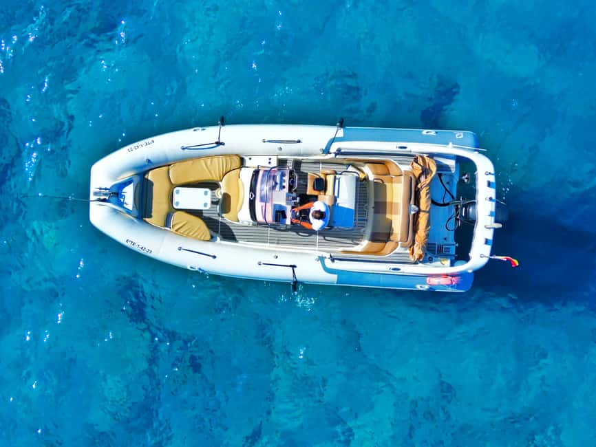 Luxury EcoMarine Safari – Whale & Dolphin Watching Adventure - Should you book Luxury EcoMarine Safari Whale & Dolphin Watching?