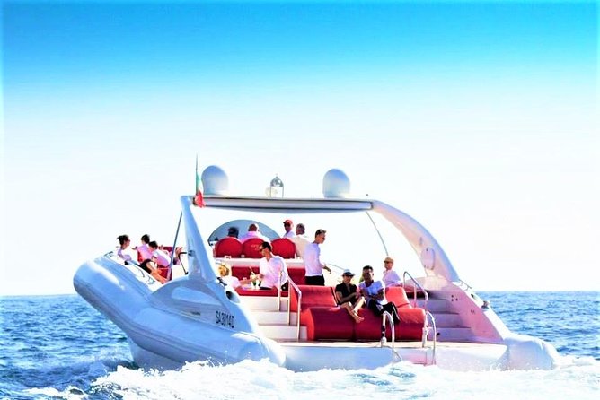 Luxury Opera 60 Whale & Dolphin Watching Experience - Key things to know before you go