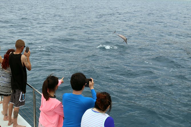 Luxury Snorkel Cruise, Local Buffet with Whale & Dolphin Watch - Photos, the Onboard Crew, and Why This One Feels More Personal