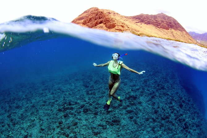 Luxury Snorkel Cruise, Local Buffet with Whale & Dolphin Watch - The Secret Snorkeling Spot: Gear, Safety, and What to Expect Underwater