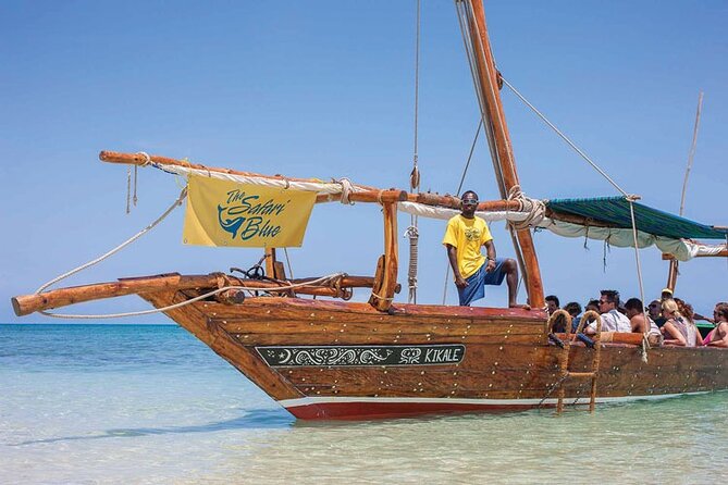 Luxury Swimming with DOLPHINS IN MNEMBA and LUNCH - Key Highlights You’ll Feel Immediately