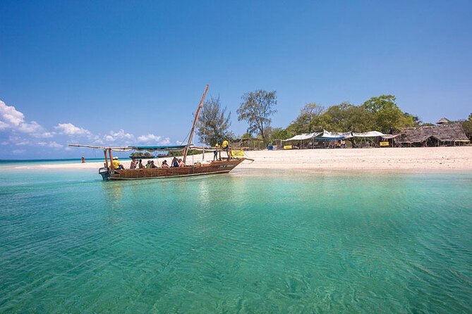 Luxury Swimming with DOLPHINS IN MNEMBA and LUNCH - Mnemba Island Is the Whole Point (and It’s Close Enough for a Short Day)