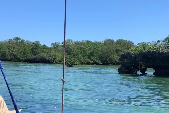 Luxury Swimming with DOLPHINS IN MNEMBA and LUNCH - Price and Value: Is $130 Worth It for a Dolphin and Snorkel Day?