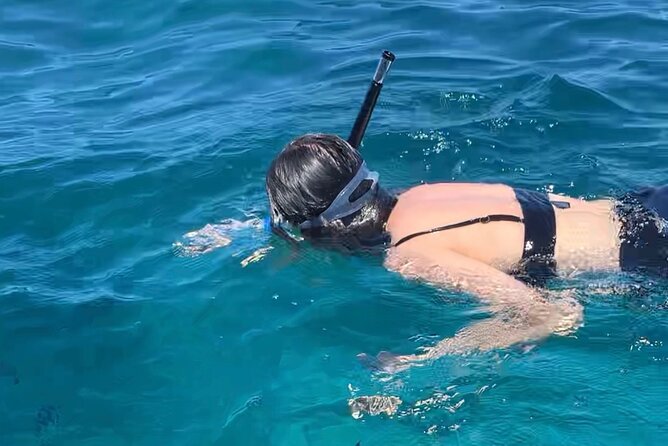 Luxury Swimming with DOLPHINS IN MNEMBA and LUNCH - Private Tour Pace: Why Only Your Group Matters