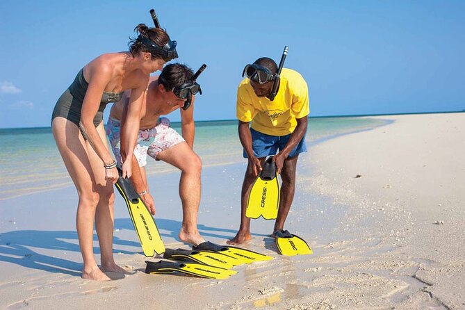 Luxury Swimming with DOLPHINS IN MNEMBA and LUNCH - The Dolphin Search and Snorkeling Flow: How to Get the Most From 3 Hours